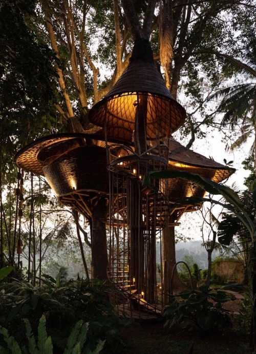 utwo:Treehouse jungle retreat Bali© Tommaso Riva