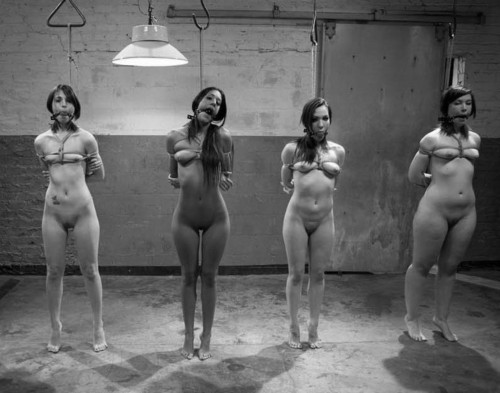 Style Erotica