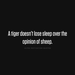 ultramotivationquotes:  A tiger doesn’t lose sleep over the opinion of sleep.