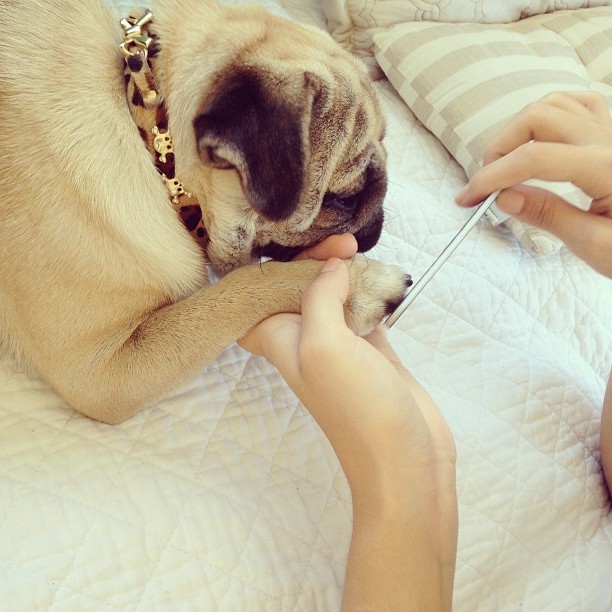 rosy-vibes:  ▲▲more here▲▲