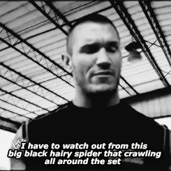 r-a-n-d-y-o-r-t-o-n:   In the honor of Randy Orton mentioning his fear of spiders