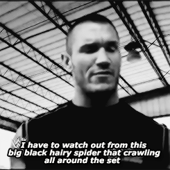 r-a-n-d-y-o-r-t-o-n:   In the honor of Randy Orton mentioning his fear of spiders on SDLive tonight 