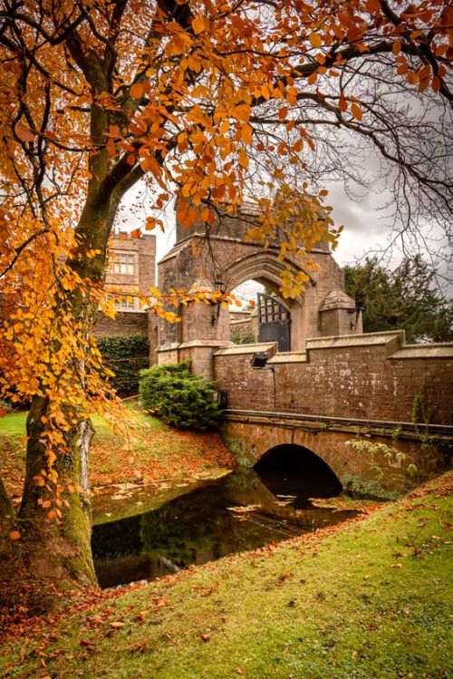 silvaris:  Autumn at Thurland Castle by Rob Sutherland