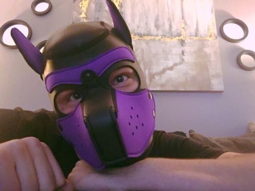 pupgigix:Whatcha doin??