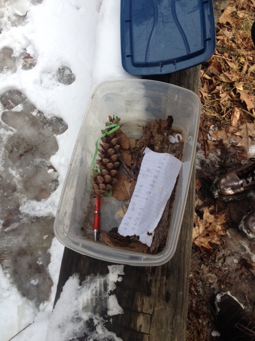 petitfauve:we found a fairy box when we were walking in the woods and we left a message