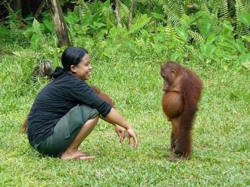 fuckyeahyoga: Samastitihi (Sa-maas-tee-tee-hee) is a call to action and an invitation to come to thi