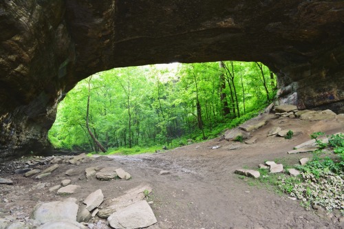  Creelsboro Natural Bridge in Russell County, KY 