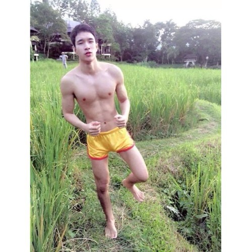 crzybolin:  estudi-de-joaochaloemponn: 
