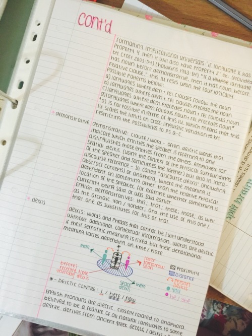 studying-engineering: study-read-study: 11-08-2015 // On tonight’s episode of “I Can&rsq