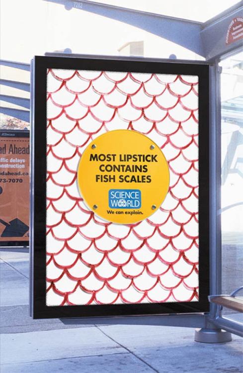 leanaisnotabanana:  The (long overdue) part 2 to my other post Rethink, Science World is well-known in Canada for award-winning and eye catching advertisements to educate the public. 