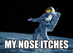 dogegag:  Best Meme Blog Photo via Tumblr