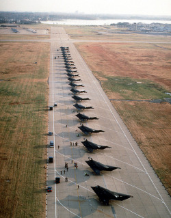 Twenty-Two Nighthawks, waiting to go hunting &hellip;..