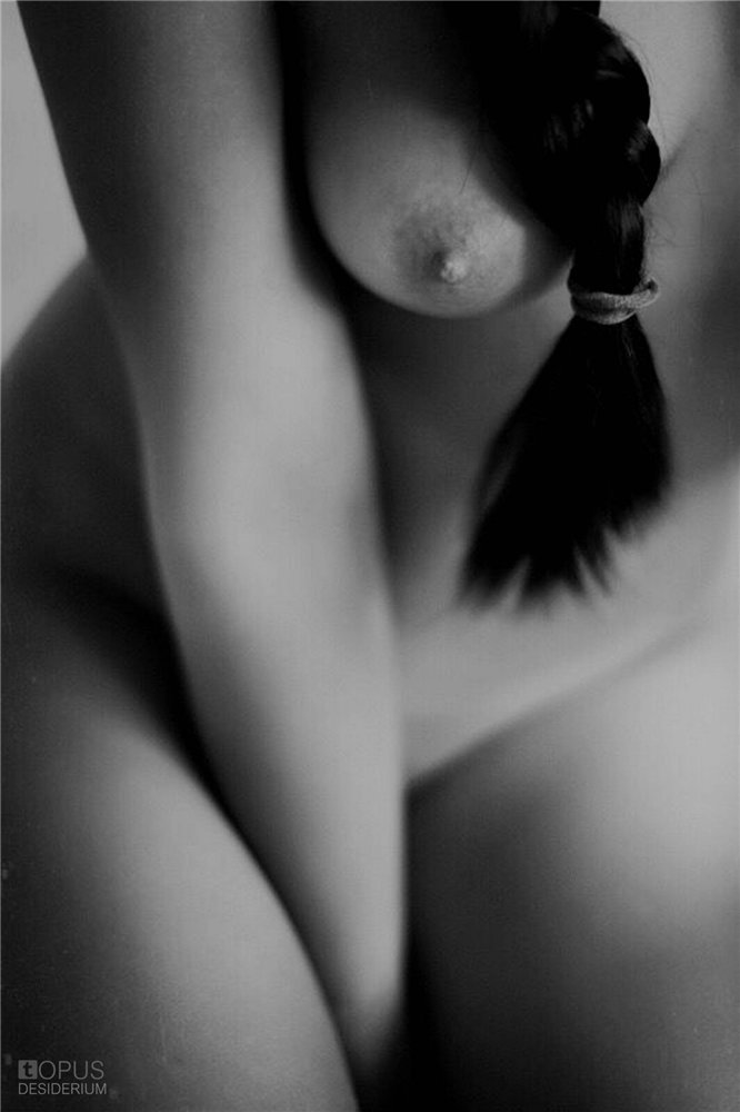 Quello che cerchi