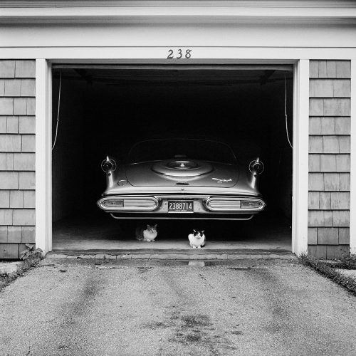 Vivian Maier1. Chicago, n.d.2. New York, NY, July 27, 19543. New York, NY, n.d.4. New York, NY, 1953