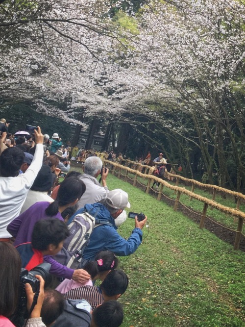 Bowmen of traditional martial arts Ogasawara ryu dedicated Yabusame ceremony for fist Japanese emper