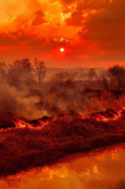 travelgurus:                Outstanding Photography -  The Wild Australian Weather                  Travel Gurus - Follow for more Nature Photographies!    