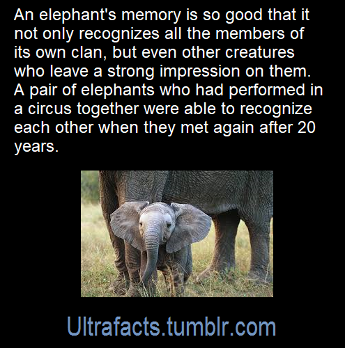ultrafacts: Source: [x] Click HERE for more facts! 