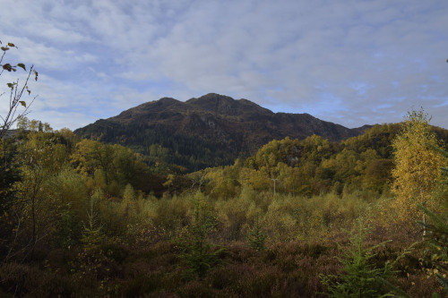 Ben Venue - Trossachs National ParkWhen we pulled up by the side of Loch Venachar, we didn&rsquo;t k