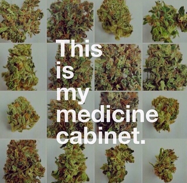 obeytheprophecy:  dopeyourlife:  🏥  ▲ obey the prophecy ▲ the door to wonderland