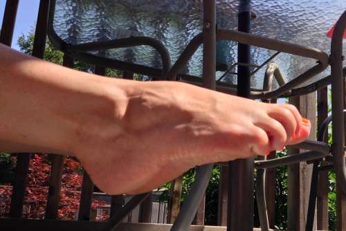 sammifeet: Here are pics teasing James in the backyard. What a lovely day.