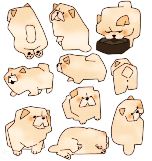 memedokis:quick question: how are chow chows real…it’s puffie