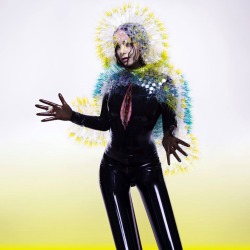 mysteriousmitch:  Vulnicura by Bjork is now
