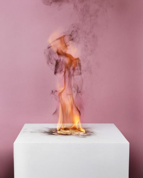 sunnation:  Michael Bühler-Rose - Camphor Flame on Pedestal (Pink 0433), 2010 