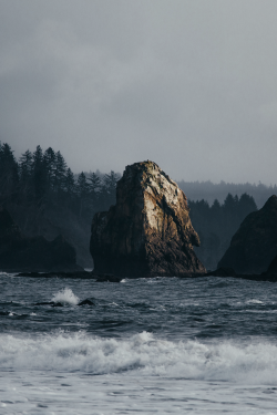 classyxsexxy:  Olympic National Park | cXs