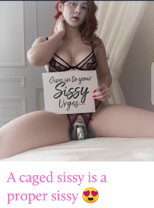 Dm If You Like To Caged