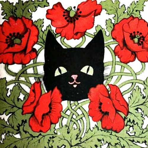 countess-zaleska: The Back Cat magazine covers, vol. 3 (1897-1898).