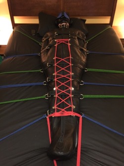 feelingknottycda:  PupCole, who has been locked in a chastity device for the past six weeks, has now been secured in my sleepsack to undergo the next phase of his pup conditioning. He is, of course, gagged under his pup hood, and blindfolded so he can