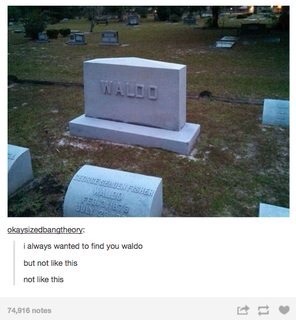 Not Your Average Tumblr