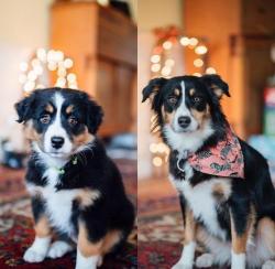 awwww-cute:  Then and Now: One Year Later