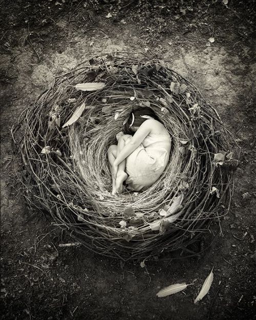 Sanctuary by Sarah Treanor