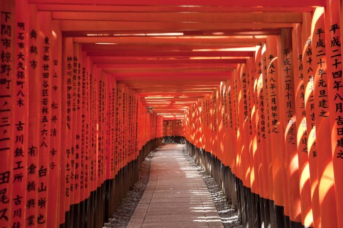 Fushimi Inari Taisha, Kyoto, Japan 2013For more of my work, check out kaltosaar.blogspot.com . You c