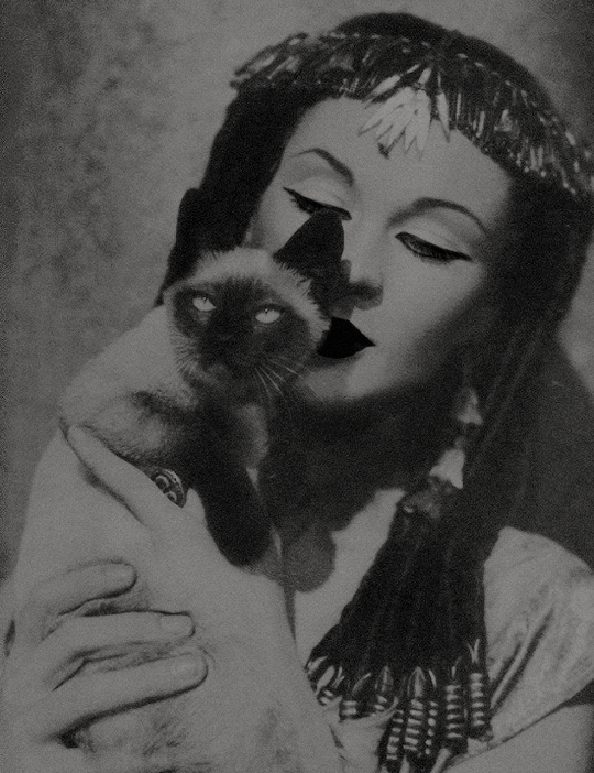 vivien-leigh: “You look just like a Persian kitten and that is how I want my Cleopatra.”