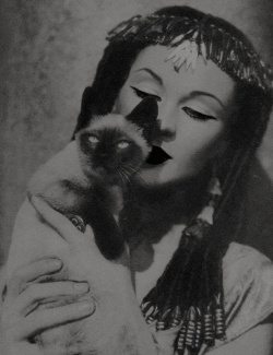 Vivien-Leigh: “You Look Just Like A Persian Kitten And That Is How I Want My Cleopatra.”