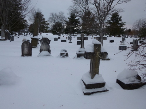 Here, have some snowy cemetery pictures.