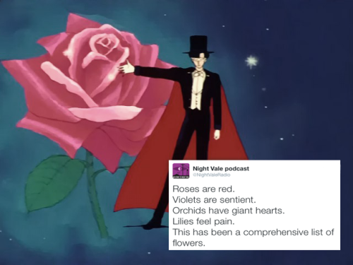 sailormoonsub: Sailor Moon + Night Vale Radio tweets