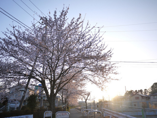 jpnys: P1130934 by kon! on Flickr.