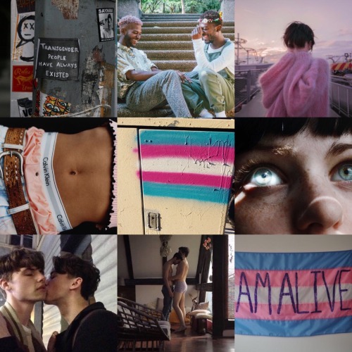 transmlmlove:trans mlm moodboard for anon