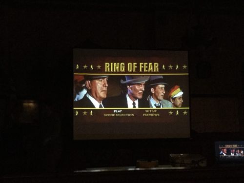 Today the busy workers at the museum threw a small movie event! The employees got to see “Ring