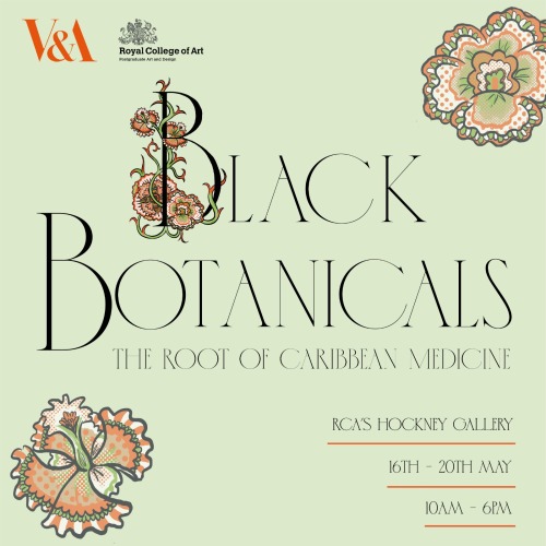Black Botanicals: The Root of Caribbean Medicine’ invites you to embark on a reflection within these