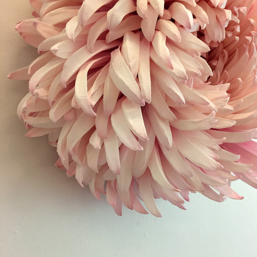 Porn itscolossal:  New Giant Paper Flower Sculptures photos