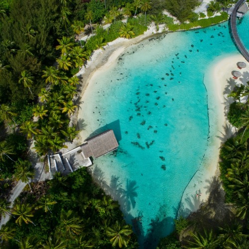 InterContinental Bora Bora Resort seen from a kite | French Polynesia (by Pierre Lesage) Source