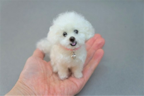  A needle felted Maltese based on the pet photo.  She is dearly missed her human family.  