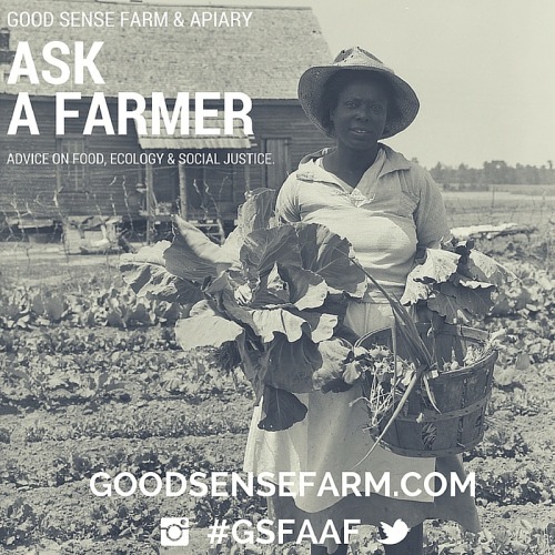 The inaugural edition of Good Sense Farm’s “Ask a Farmer” column begins with a familiar question and