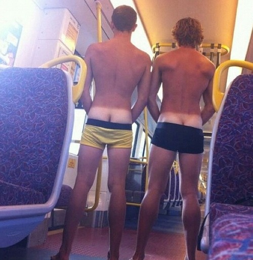 texasfratboy:  no fair - i’ve never seen anything like this on any of the buses