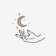 starrynightlama
