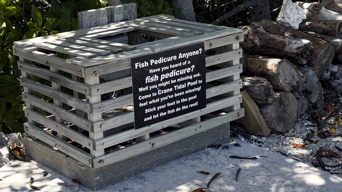 30bdb5d9ee16fb9a72eb3b6ec3f1dda1c1ee97ba